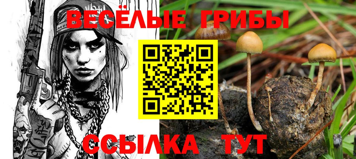 Галлюциногенные грибы GOLDEN TEACHER Киселёвск